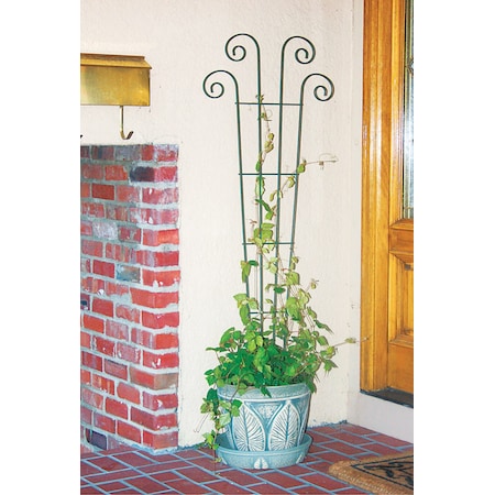 Panacea Panacea 48 in. H Black Steel Trellis 89631